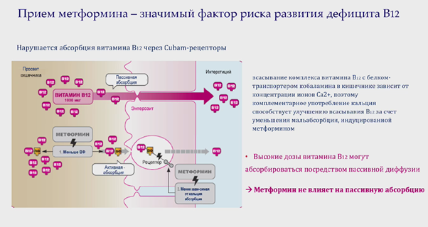 миф6.png